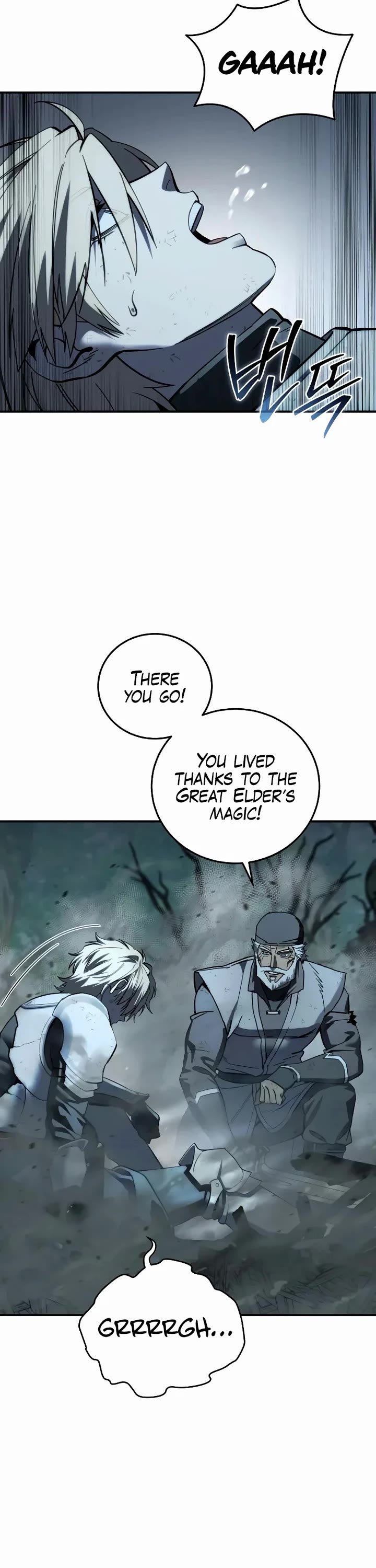 Read The Stellar Swordmaster Manga Online