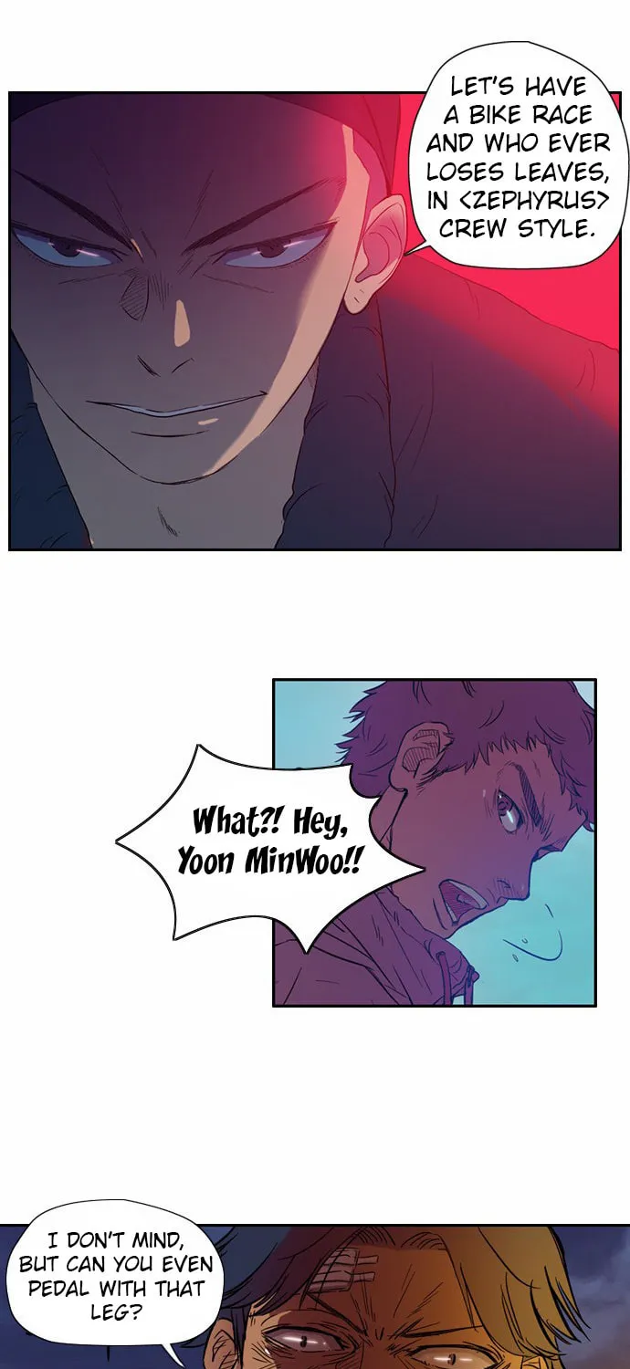 Read Wind Breaker Manga Online