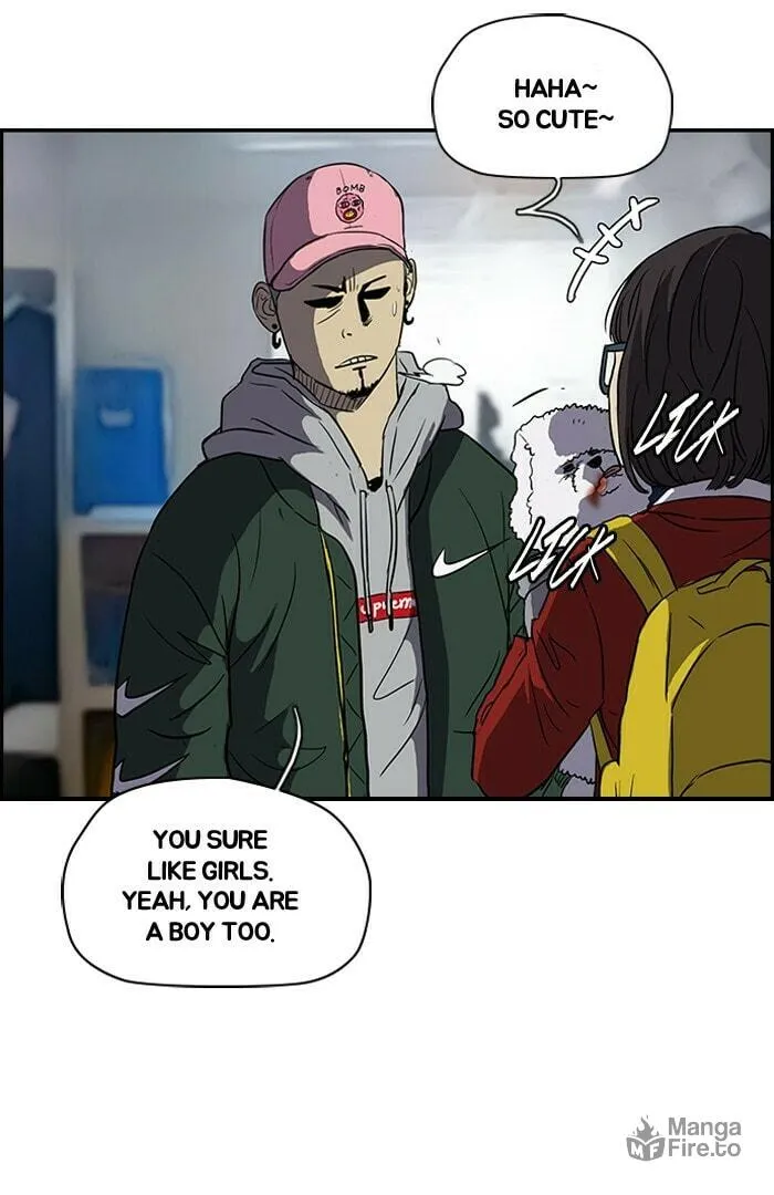 Read Wind Breaker Manga Online