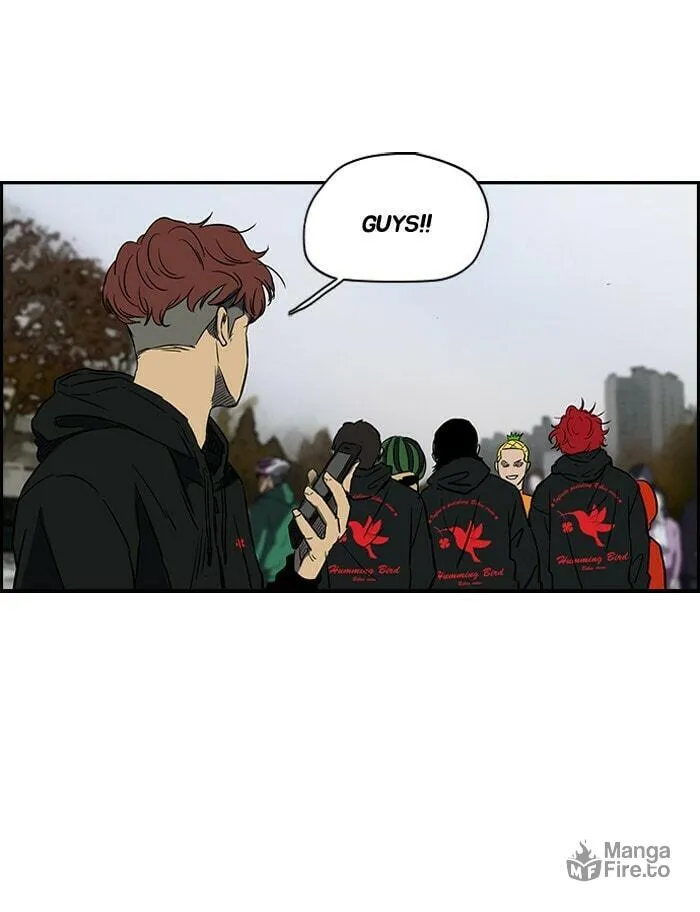 Read Wind Breaker Manga Online