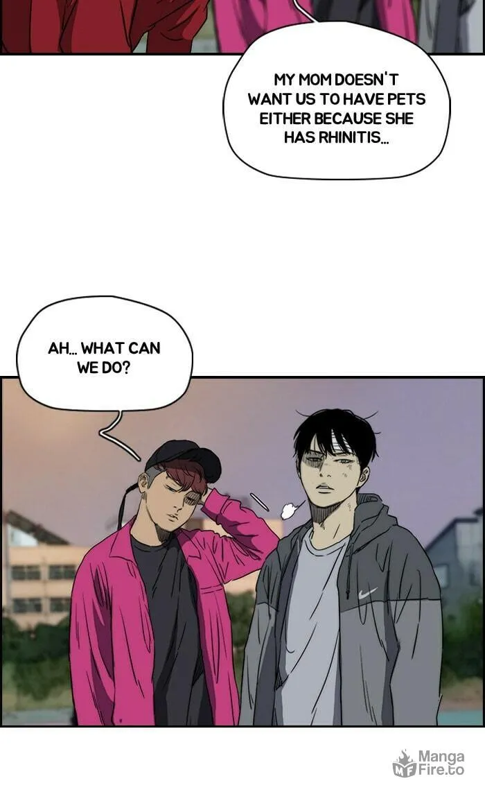 Read Wind Breaker Manga Online