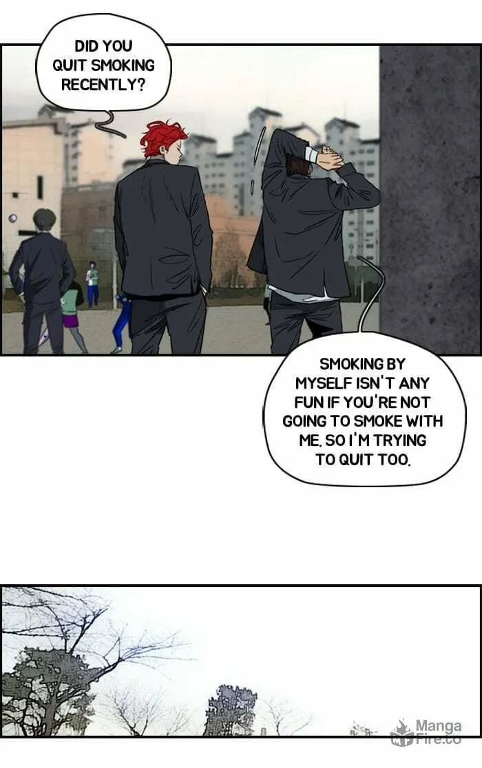Read Wind Breaker Manga Online