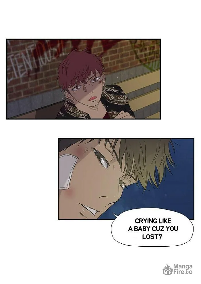 Read Wind Breaker Manga Online