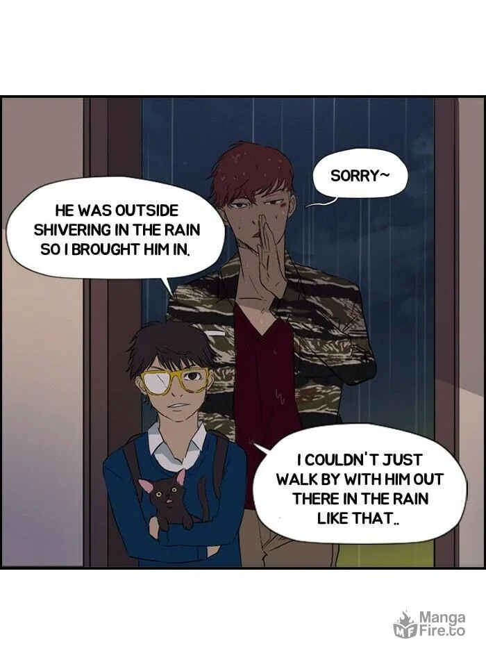 Read Wind Breaker Manga Online