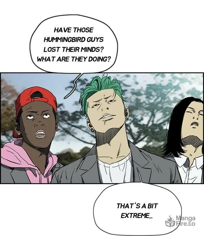 Read Wind Breaker Manga Online