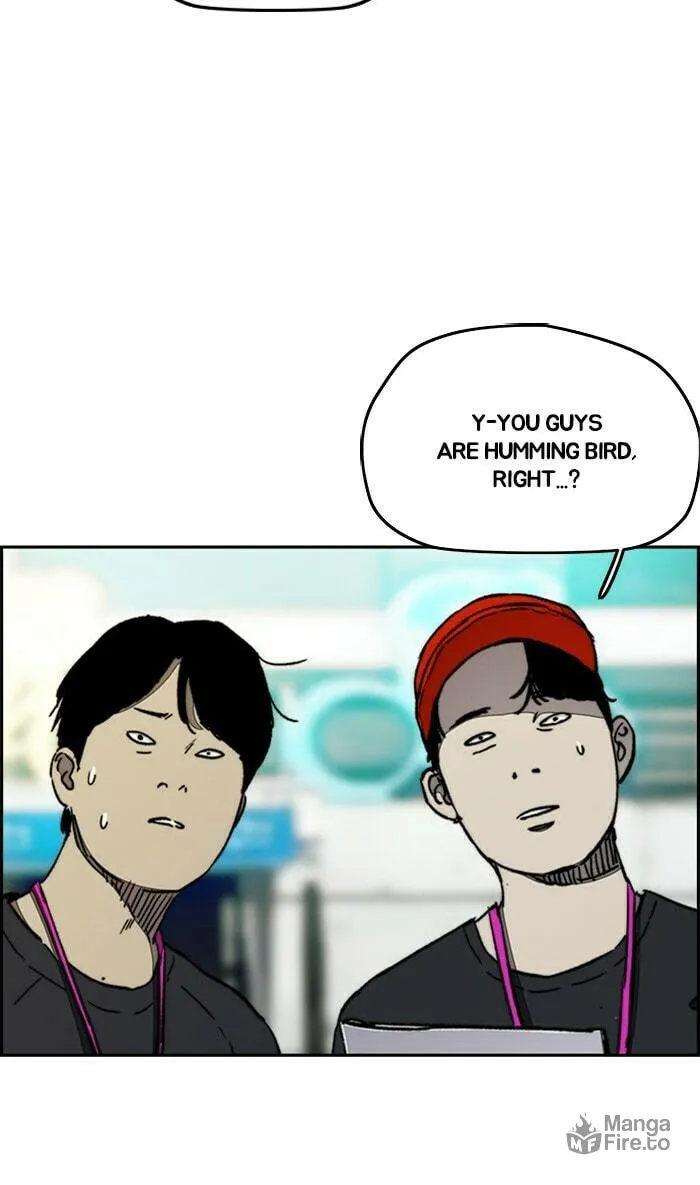 Read Wind Breaker Manga Online