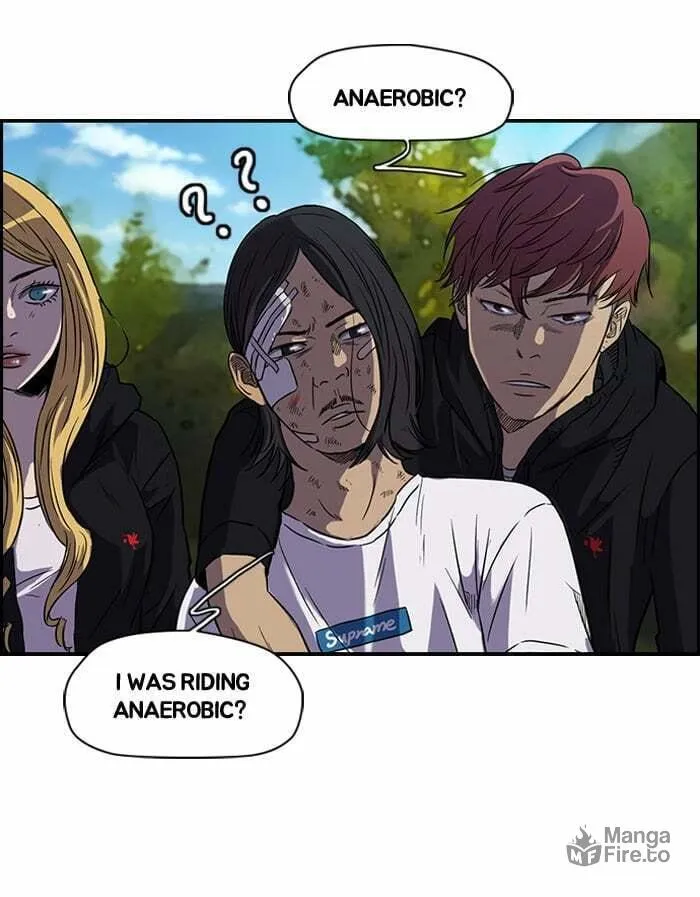 Read Wind Breaker Manga Online
