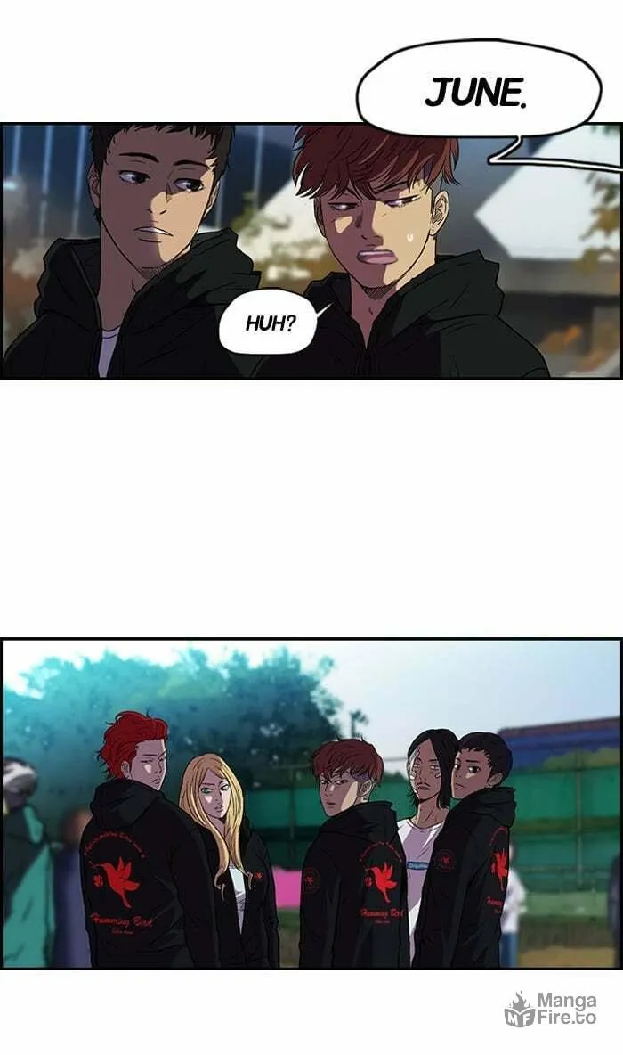Read Wind Breaker Manga Online
