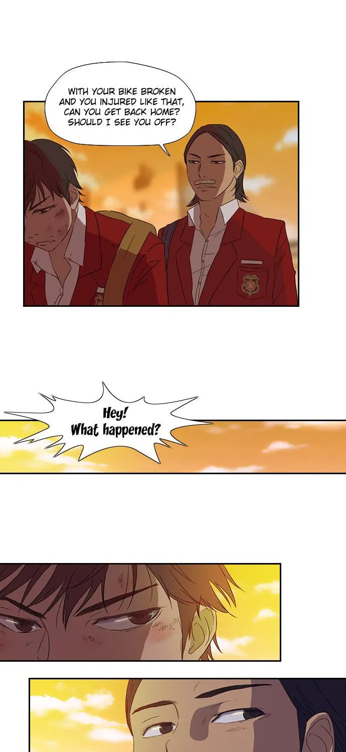 Read Wind Breaker Manga Online